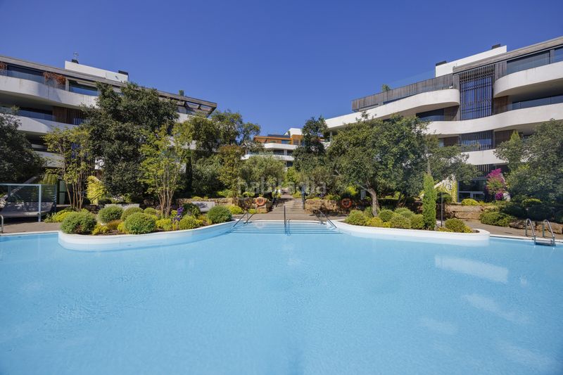 Foto 6887dbe7-4d0a-426b-a5ed-22a7582ee8cd. Apartament amb aparcament piscina a Sotogrande alto Sotogrande