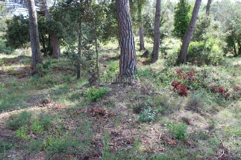 Foto d6672fc4-1d16-414c-b1c4-cdef8ba9e862. Terrain résidentiel dans Begues