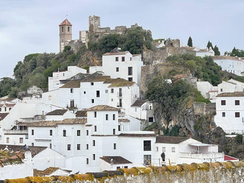 Foto dcec4eb4-5fe6-4f41-86c3-b4dc3dd7f8c9. Casa  en venta en área 29690 en Casares pueblo Casares