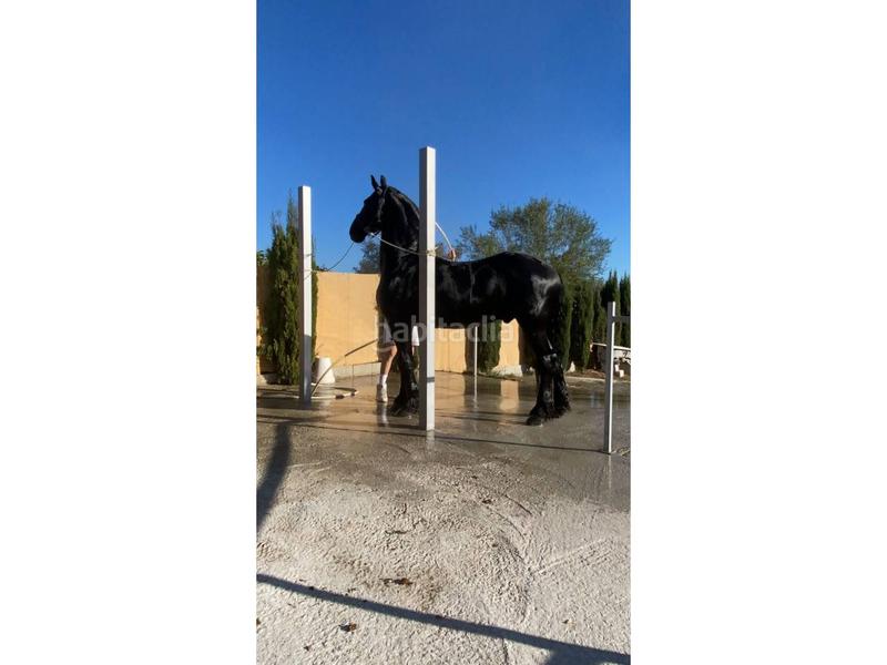 Foto f7815dc0-e9eb-4e86-8cd4-de7ca5992f55. Xalet amb calefacció piscina a Las Lomas Estepona