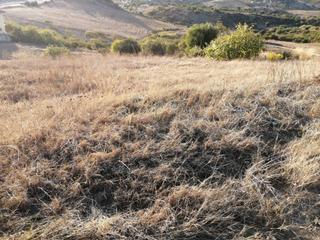 Finca rústica a Centro. Terreno en venta en la gasparabahía doradabuenas noches