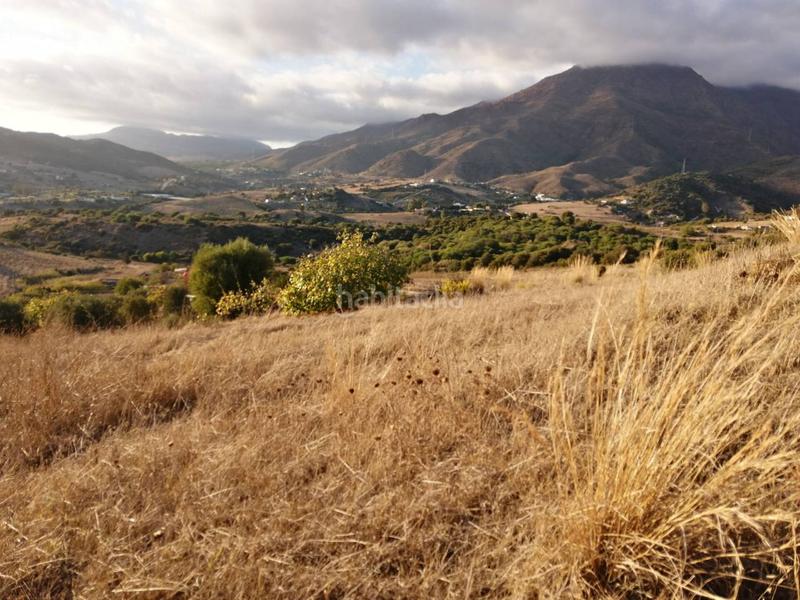 Foto 5c562fdb-274f-47c9-9366-448132d1aacc. Fondo rustico in Centro Estepona