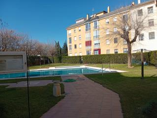 Lloguer Pis a El Brillante -El Naranjo - El Tablero. Alquiler en camping