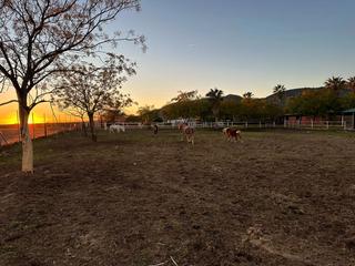 Masia en Tablero Bajo - Arruzafilla. Finca rustica junto al hipico