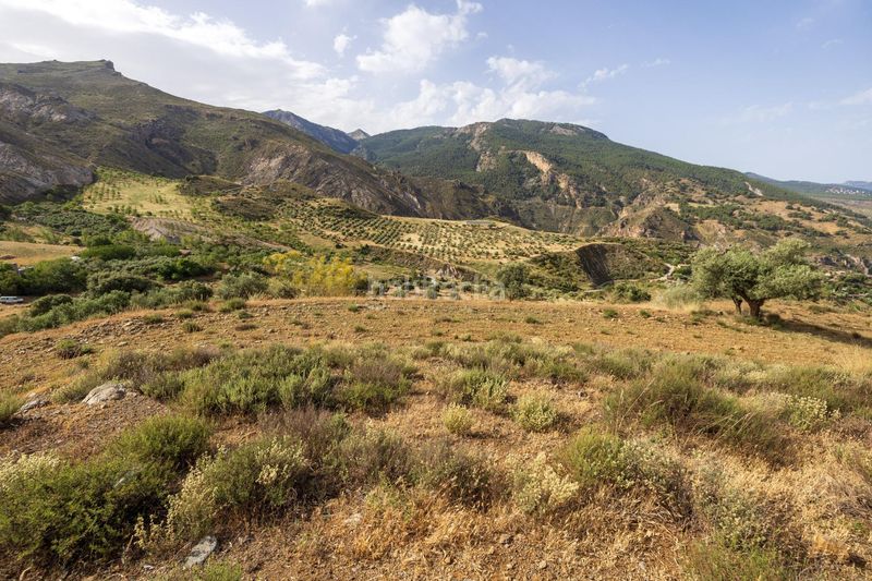 Foto b4e0d229-6cad-4523-b144-36dfc31dff9f. Finca rústica a Zona baja Sierra Nevada