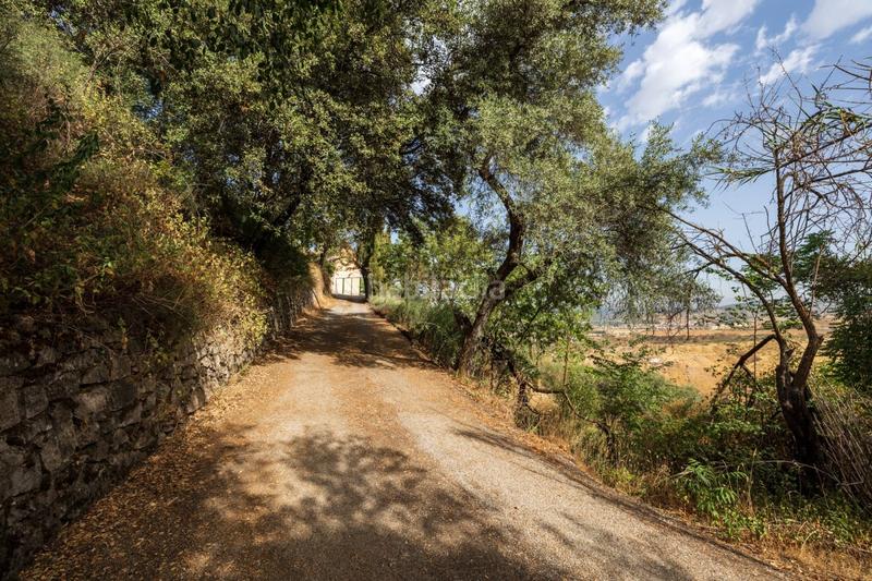 Foto cbe733d6-dbbf-4cf4-b7c9-d3e602f9bb6b. Casale con piscina in Haza Grande Granada