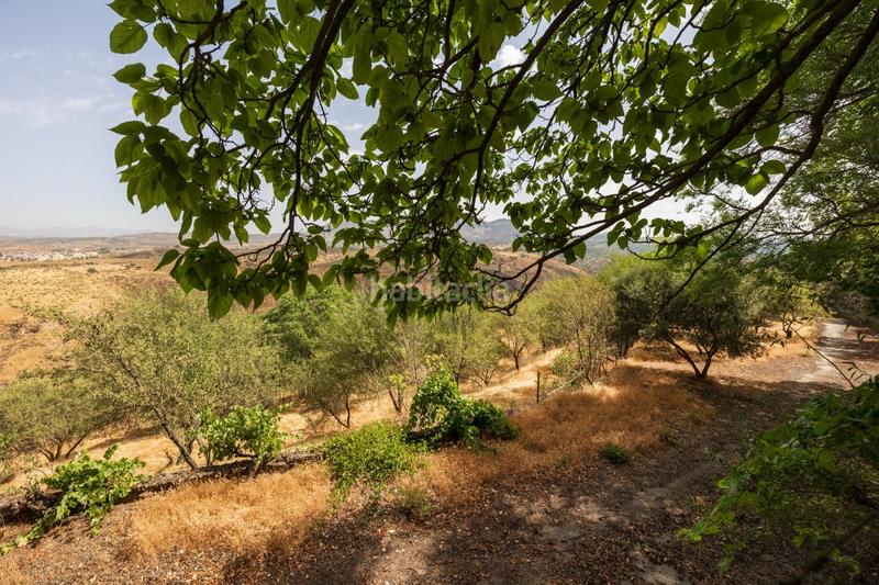 Foto d08591d5-3d82-4fca-a59f-c71b24e513c9. Casale con piscina in Haza Grande Granada