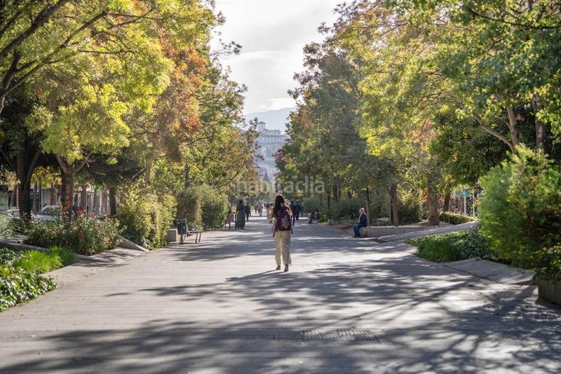 Foto 1c09200f-19e8-49db-a517-79aef96321d6. Àtic a Centro - Sagrario Granada