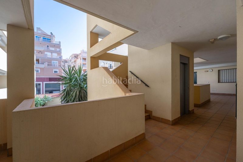 Foto fb744ea1-24ef-451e-80d6-88fc718c8a15. Pis a Almerimar Ejido (El)