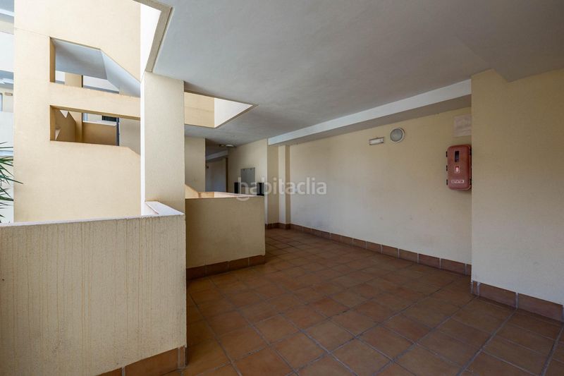 Foto fdf3519f-20ef-4210-81f8-1797efc30947. Pis a Almerimar Ejido (El)