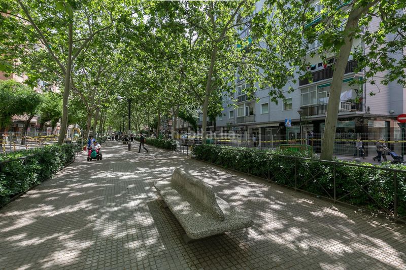 Foto 0be1a210-2624-4965-bfae-b1e4fbd81c79. Pis a Barrio de Zaidín Granada