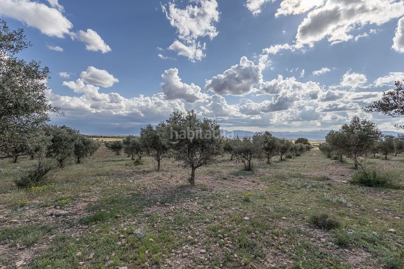 Foto 8e1a631b-0cb9-4e9a-a71f-6b07bcba14b8. Finca rústica a Guadix