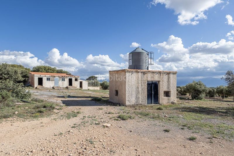 Foto e53d94ad-c6ed-44a8-97d4-9d42516672e2. Finca rústica a Guadix