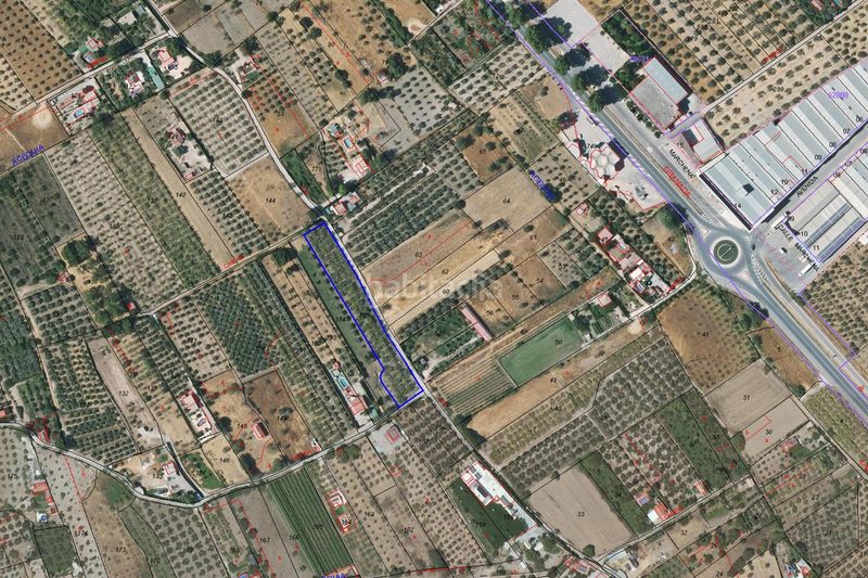 Foto ab87e03a-af49-4ac5-b22f-3a4a2531dc4b. Finca rústica a Dúrcal