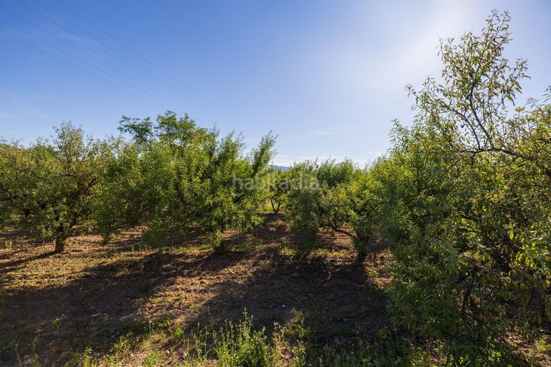 Foto c97476c8-e581-4099-a274-c4e1347077b3. Finca rústica a Dúrcal