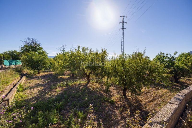 Foto ed122dc9-a357-4d4c-ab51-345f702e1909. Finca rústica a Dúrcal