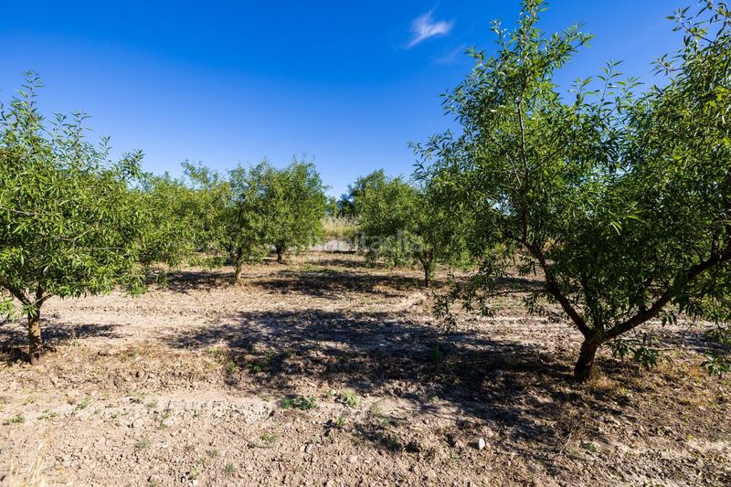 Foto 4ffe3f69-e041-4137-bd88-00713eb1c4e7. Finca rústica a Dúrcal