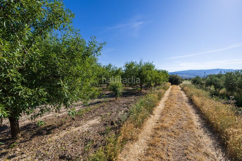 Foto a287a7e3-8583-402a-b9d3-65c5ee1807a0. Finca rústica a Dúrcal