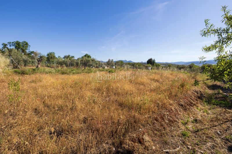 Foto a8f5c0aa-bd30-48ae-8088-5f1081559db6. Finca rústica a Dúrcal