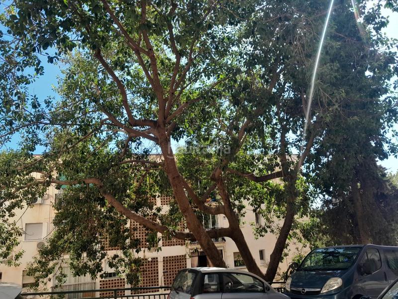 Foto 986fd216-e581-4a33-90e5-1b104c1fc94a. Apartamento piso en malaga la pelusa El Palo en El Palo Málaga