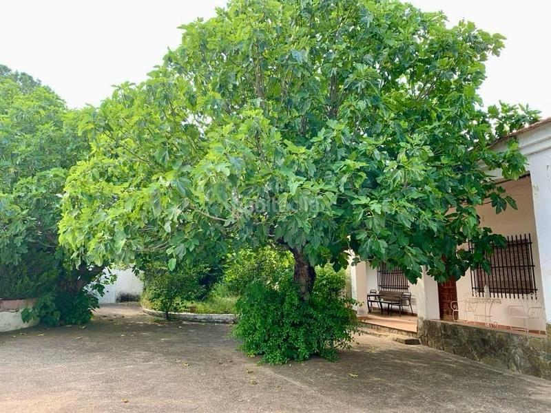 Foto d940fb13-2743-4eae-84c0-c9871085c779. Casa chalet urbano con dos viviendas y piscina en Córdoba