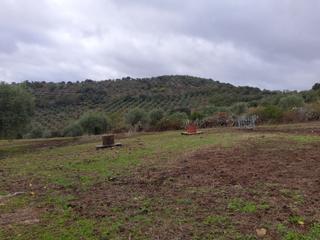 Finca rústica a Villanueva del Rey. La oportuniad que estabas espperando