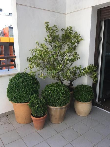 Foto 9df8f41d-58ee-43c0-9b9d-b27d3db5563e. Penthouse in casco histórico - ribera - san basilio Córdoba