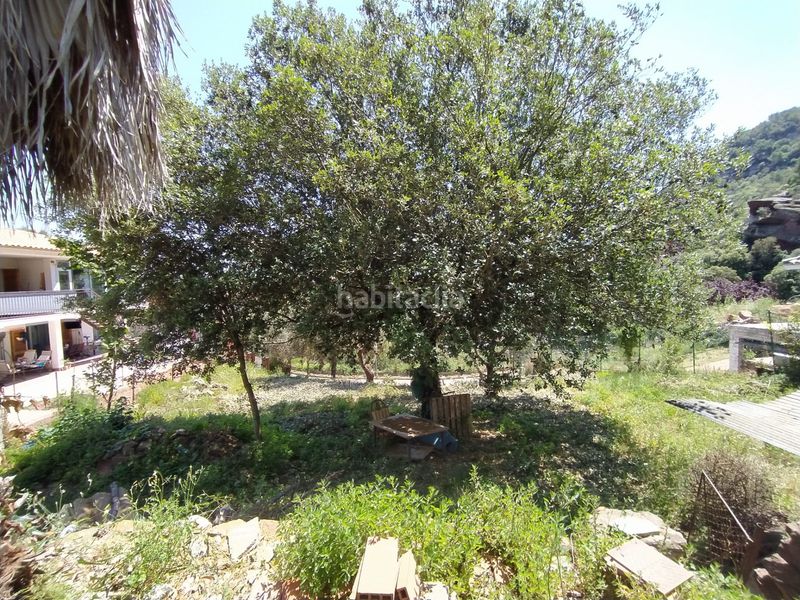 Foto 0eff91bc-58ab-4fd6-8a60-122464a2330f. Finca rústica a Torrelles de Llobregat