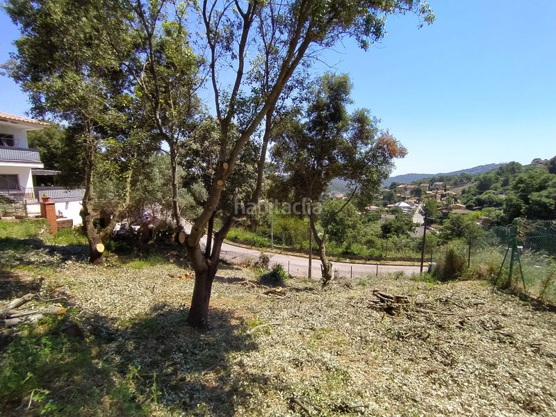Foto 2dda6a26-8be5-4591-ab4a-bfb04f5663ba. Finca rústica a Torrelles de Llobregat