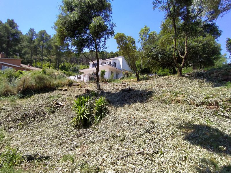 Foto 381a6d1d-7a08-4b02-adc1-f44179e36a9e. Finca rústica a Torrelles de Llobregat