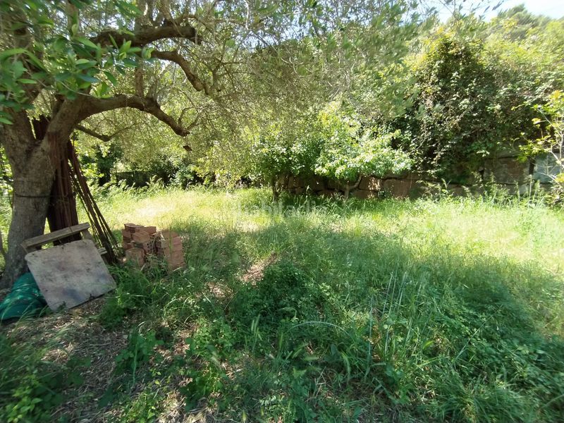 Foto 477c5fb9-b4dc-4955-9be6-1b12537f5a31. Finca rústica a Torrelles de Llobregat