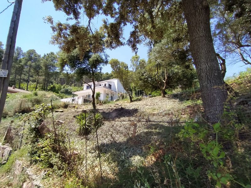 Foto 55d970a6-c99b-4bf2-b541-d70790768ff9. Finca rústica a Torrelles de Llobregat