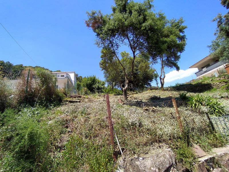 Foto aea78653-7cb7-474c-ac46-de0c9acef2cf. Finca rústica a Torrelles de Llobregat