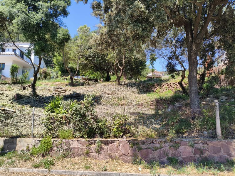Foto c162ee79-5c5b-4942-906a-67c2341f5314. Finca rústica a Torrelles de Llobregat
