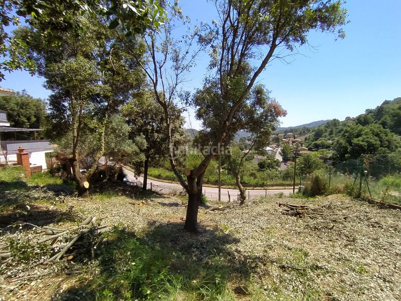 Foto e1528b15-ea75-4d73-b5e6-ced58b6095da. Finca rústica a Torrelles de Llobregat