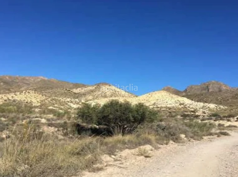 Foto b896a526-7d63-4127-86ea-c02942ca8aa7. Rural plot in Nijar Pueblo Níjar