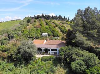 Mas  Ds montenegral alto, finca franda montenegral alto