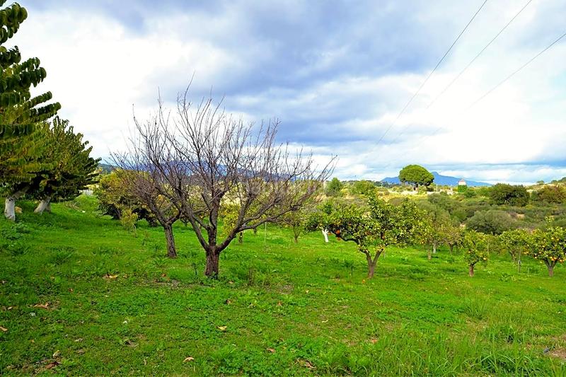 Foto 38bd1fa9-ebd5-4cc6-baa5-e9410927cc43. Haus in Los Llanos Estepona