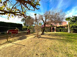Masia  Guadalobón. Preciosa finca con gran parcela de 4.000 m2. estepona.