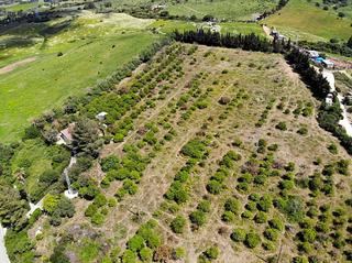 Masía  Ds montenegral alto, finca franda montenegral alto