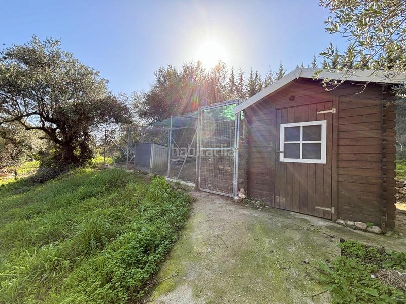 Foto c17c9e7d-aa81-4f6c-b28b-bf29219ccd98. Masia amb aparcament piscina a Monda