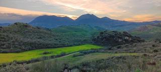 Finca rústica  El saucejo. Finca rústica agroganadera, situada entre el saucejo y algaminas