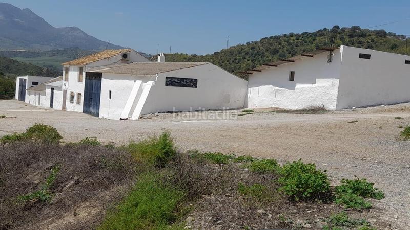 Foto 00842bda-665d-4d80-90cd-db349c020ed5. Finca rústica a Mairena del Alcor