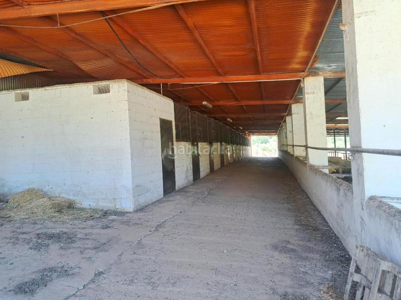 Foto 0c027cf4-730f-4469-913a-22d67f8a02c9. Finca rústica a Mairena del Alcor