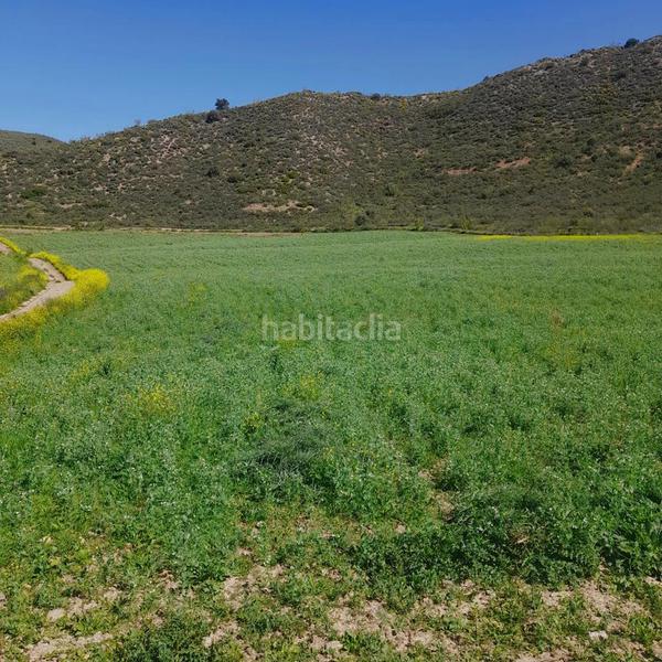 Foto 0e0830bf-9124-4384-9502-16858564857d. Finca rústica a Mairena del Alcor