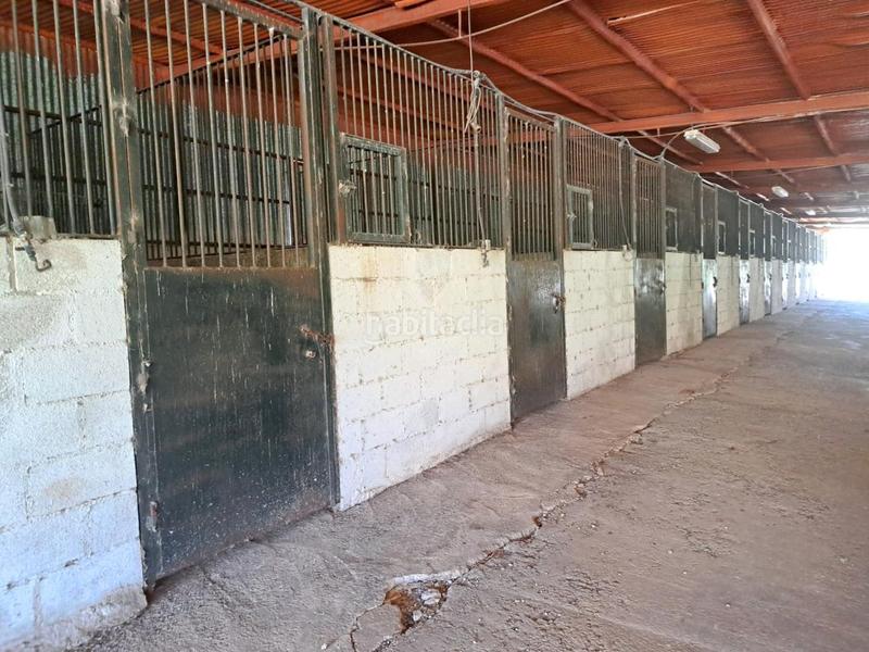 Foto 283d195a-4191-4baa-9953-48566489ea36. Finca rústica a Mairena del Alcor