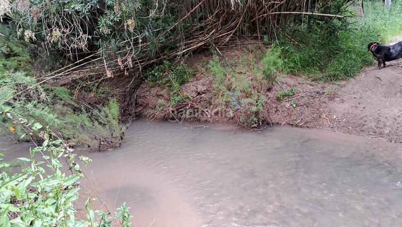 Foto 40488afa-fc16-4d1d-a17a-8178539c456b. Finca rústica a Mairena del Alcor