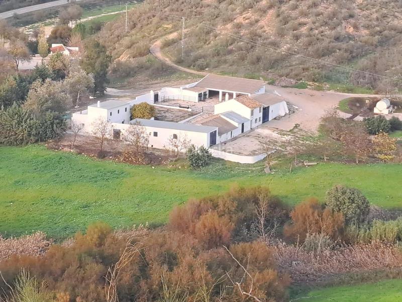 Foto 4175a8c0-0e3f-4ef4-a12b-137e39eb8d41. Finca rústica a Mairena del Alcor