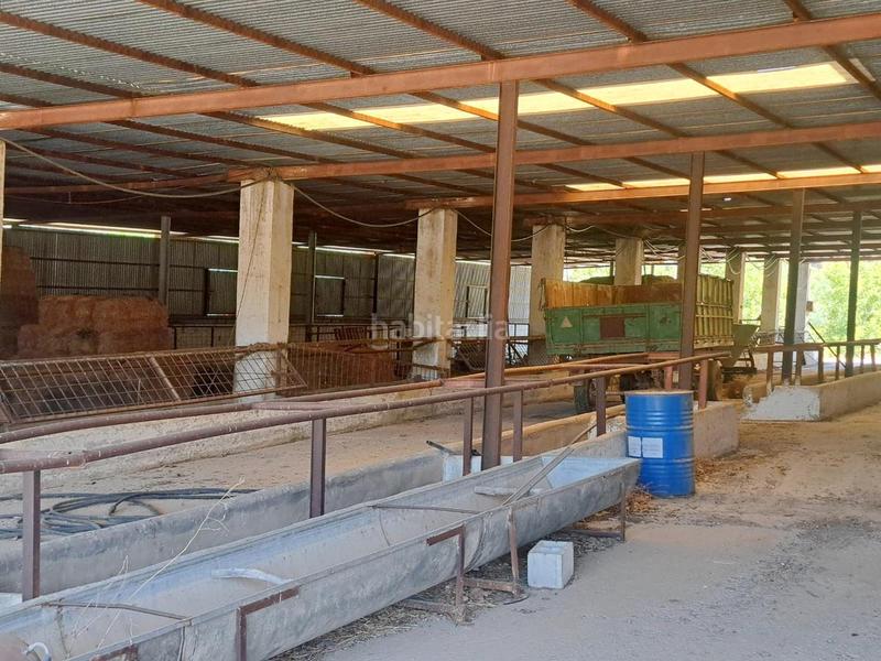 Foto 42935389-5b44-4ece-b791-fca9dae49310. Finca rústica a Mairena del Alcor