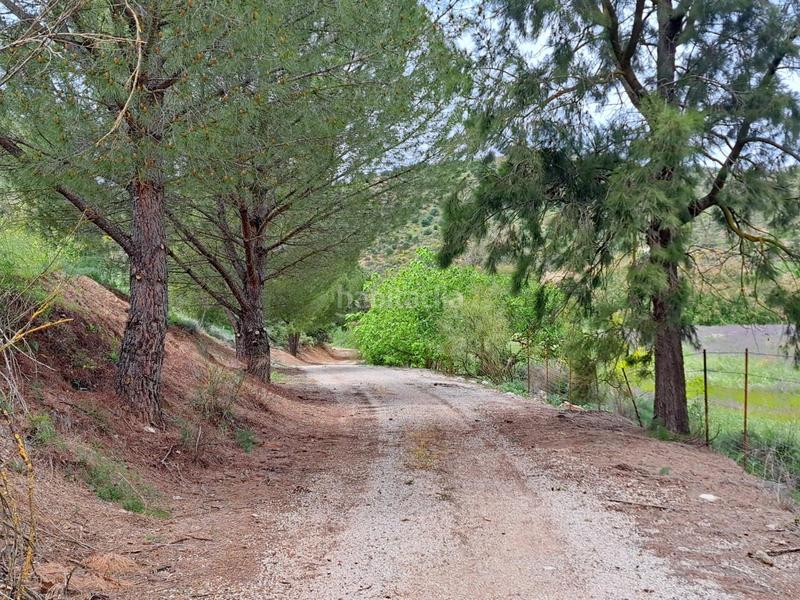 Foto 49769083-cef0-4cf7-a5b1-3c01dd5b751a. Finca rústica a Mairena del Alcor